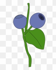 Blueberry Berry Blueberries Blue - Berry Clip Art Emoji,Cheese Emoticon