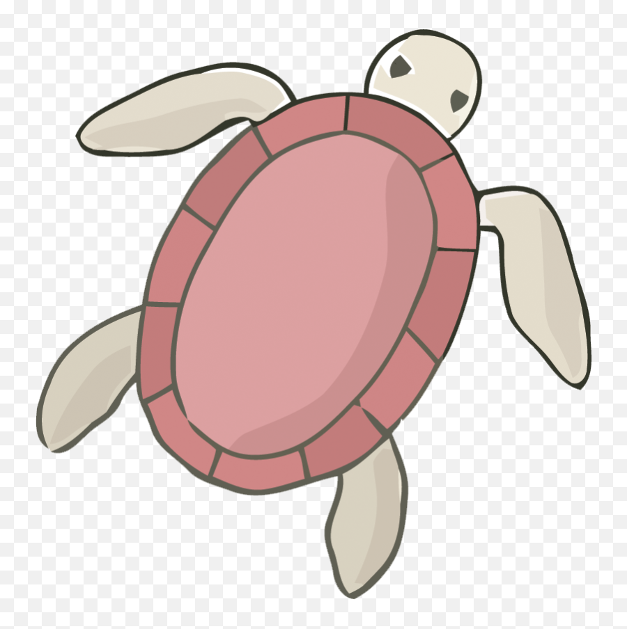 Sea Turtle Tortoise - Pink Turtle Cartoon Png Emoji,Sea Turtle Emoji