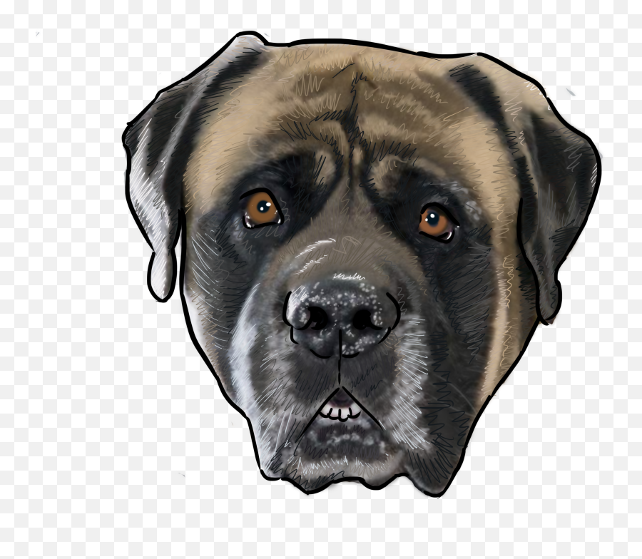 Why Are You A Dog - Cartoon Mastiff Face Png Emoji,Scottie Dog Emoji