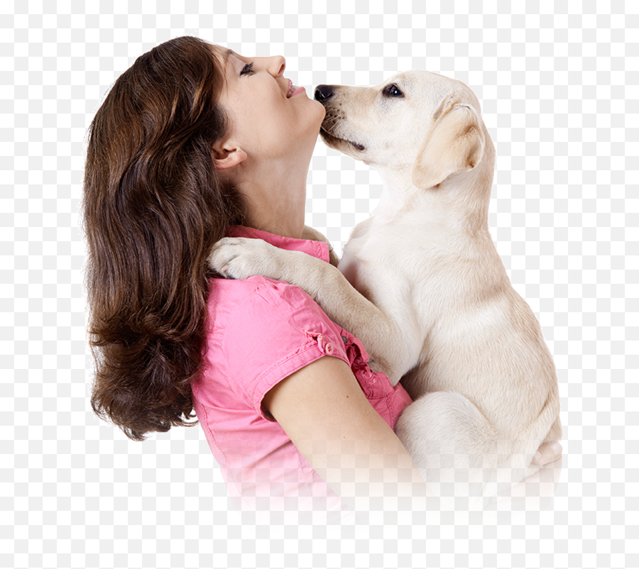 Pet Doctorx Joins Dogtoberfest - Dog Emoji,Dog Emoticons