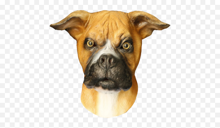 Latex Masks - Mistermasknl Boxer Emoji,Boxer Dog Emoji