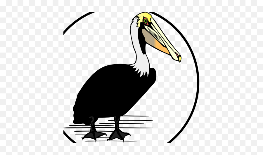 Pelican Png Svg Clip Art For Web - Long Emoji,Pelican Emoji