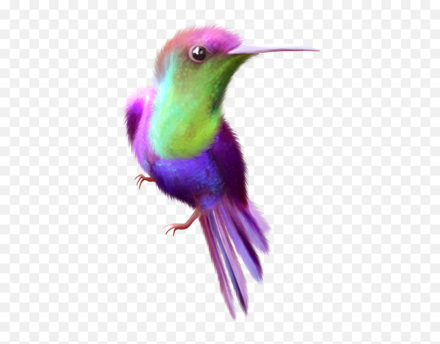 Beauty Hummingbird Free Clip Art - Free Printable Humming Bird Banners Emoji,Hummingbird Emoticon