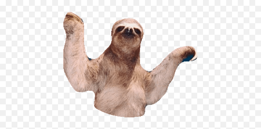 Top Cute Sloth Stickers For Android U0026 Ios Gfycat - Seals And Sloths Emoji,Sloth Emoji
