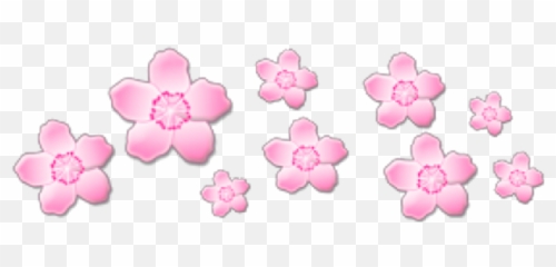 Flower Crown Png Tumblr Transparent - Stickers Emoji