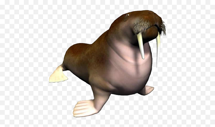 Walrus Png Images Free Download - Walrus Png Emoji,Walrus Emoji