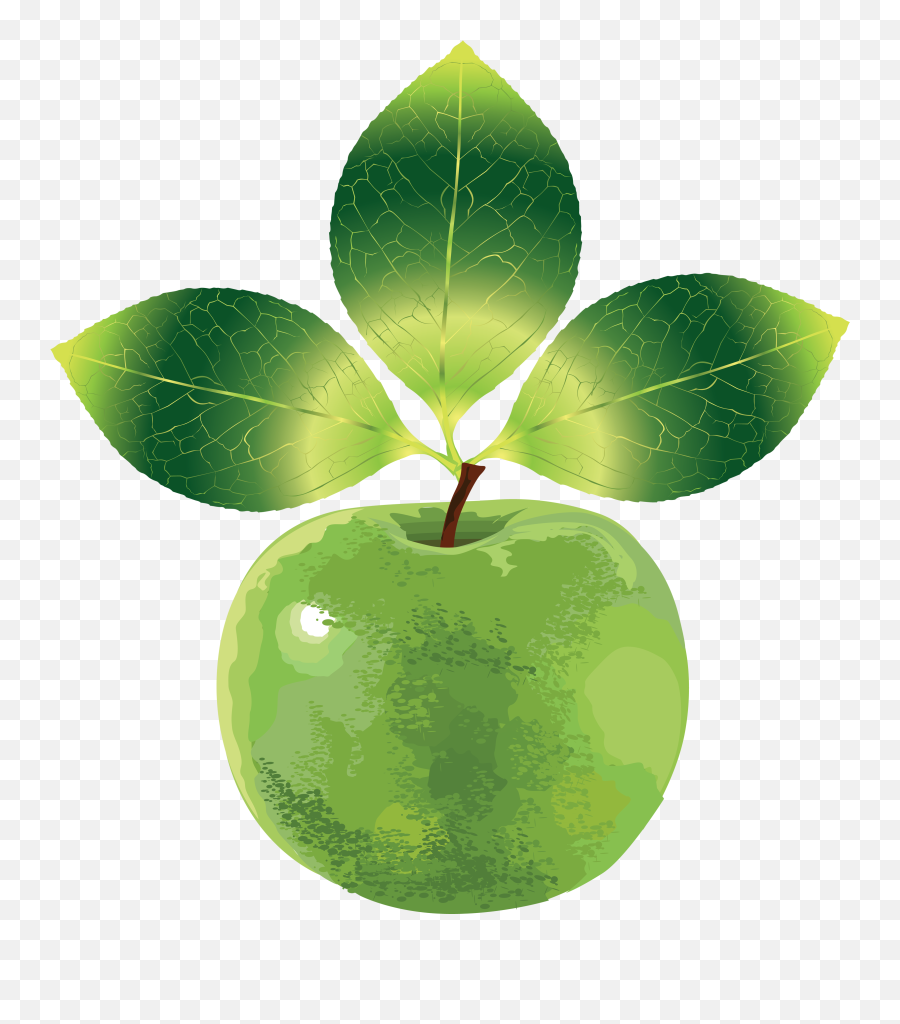 Apple Png Images Free Download Apple Png - Green Apple With Leaves Png Emoji,Green Apple Emoji