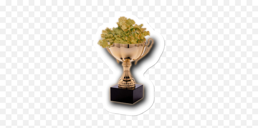 24 Horas De Salsa Art Print By Salsatheone Design By Humans - Trophy Emoji,Award Emoji