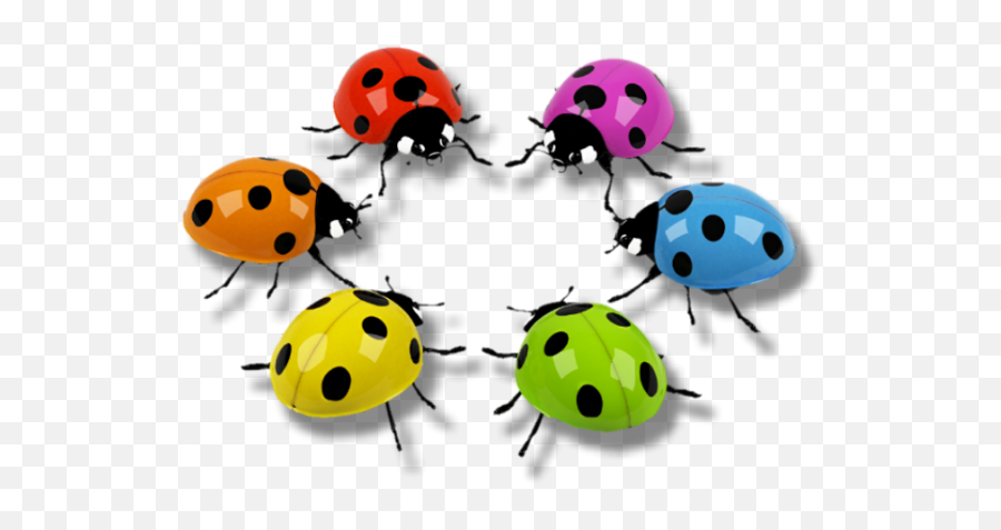 Rainbowcolors Ladybug Ladybird Insect Bug Decoration - Qual É A Cor Da Joaninha Emoji,Ladybug Emoji