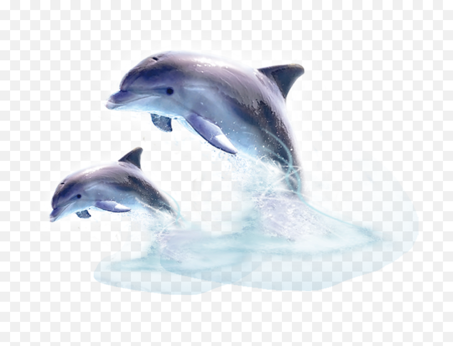 And Trending Dolphins Stickers - Dolphin Jumping Out Of The Water Transparent Emoji,Dolphin Emoticon