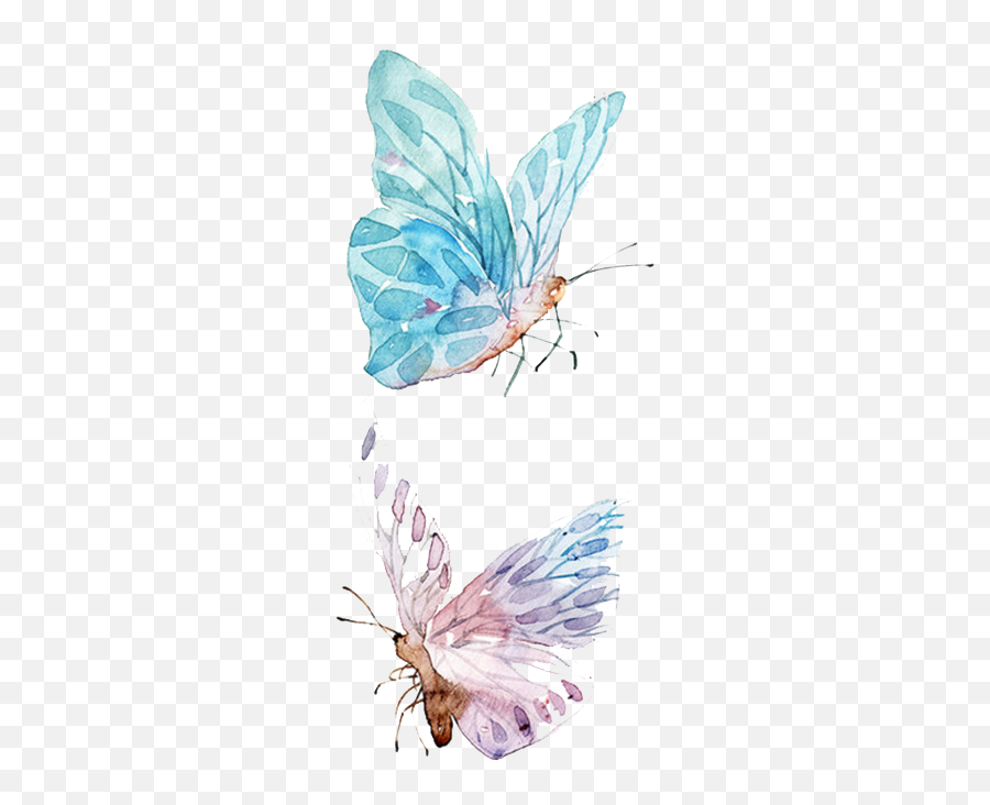 Download Watercolor Butterfly Paper Painting Drawing Free - Watercolor Butterfly Png Free Emoji,Butterfly Emoticon