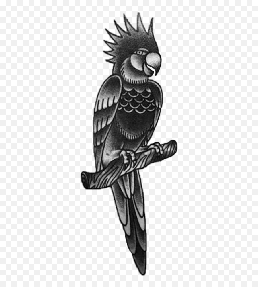 Collection Of Free - Peregrine Falcon Emoji,Parrot Emoji