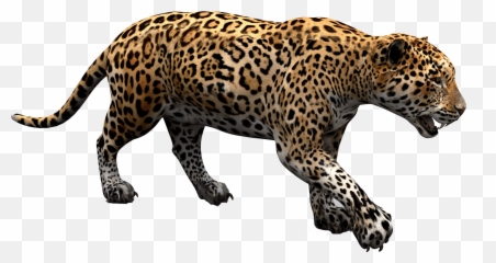 Jaguar Cars Jaguar Land Rover - Jaguar Png Emoji,Jaguar Emoji
