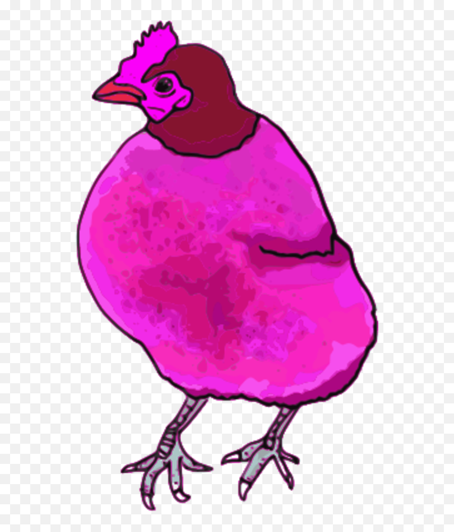 Chicken Hen Vector Clip Art Image - Pink Chiken Emoji,Chicken Emoji Transparent