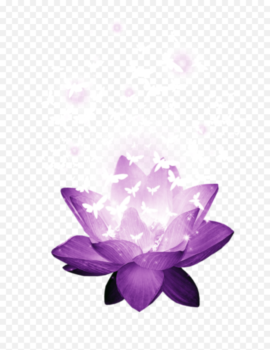 Lotus Butterflies - Sacred Lotus Emoji,Lotus Emoji