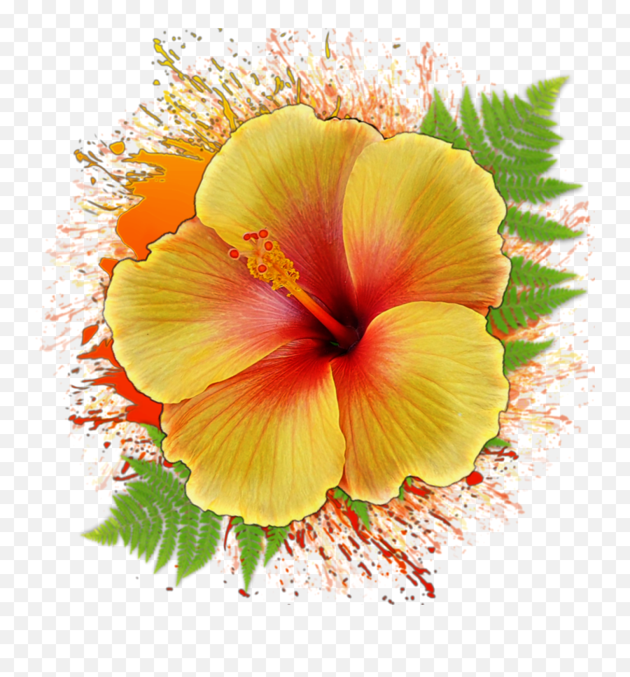 Hibiscus Stickers - Shoeblackplant Emoji,Hibiscus Emoji