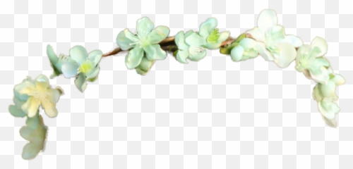 Flower Crown Png Pictures Free Icons And - Girls Emoji