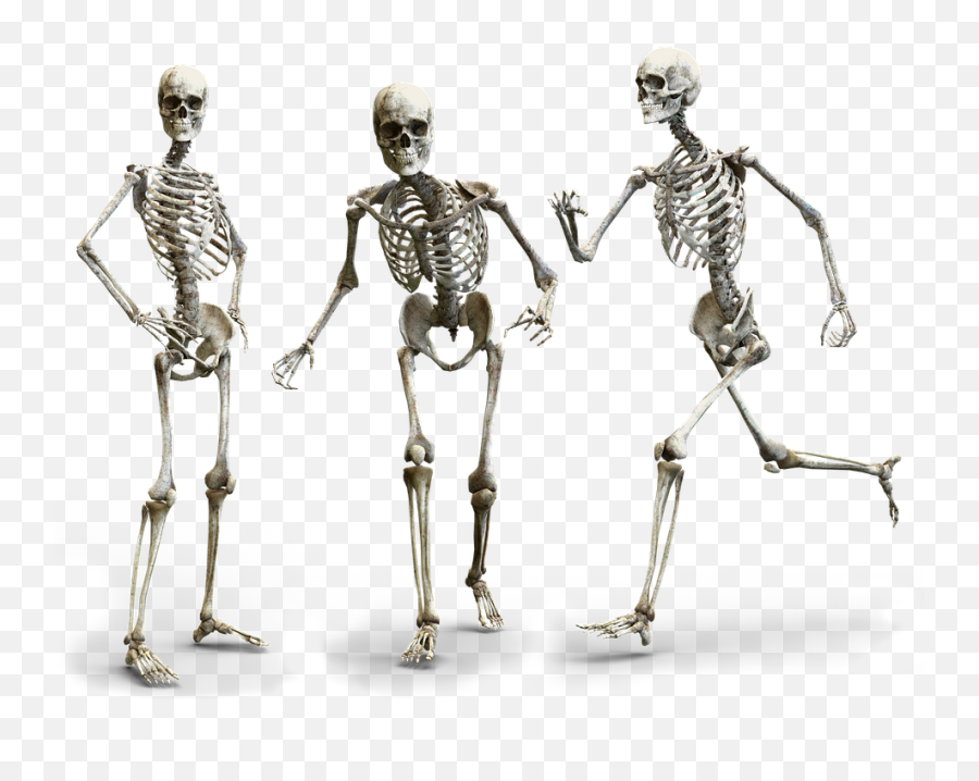 Skeleton Human Bone - Many Bones Are In The Human Body Emoji,Walking Dead Emoji Download