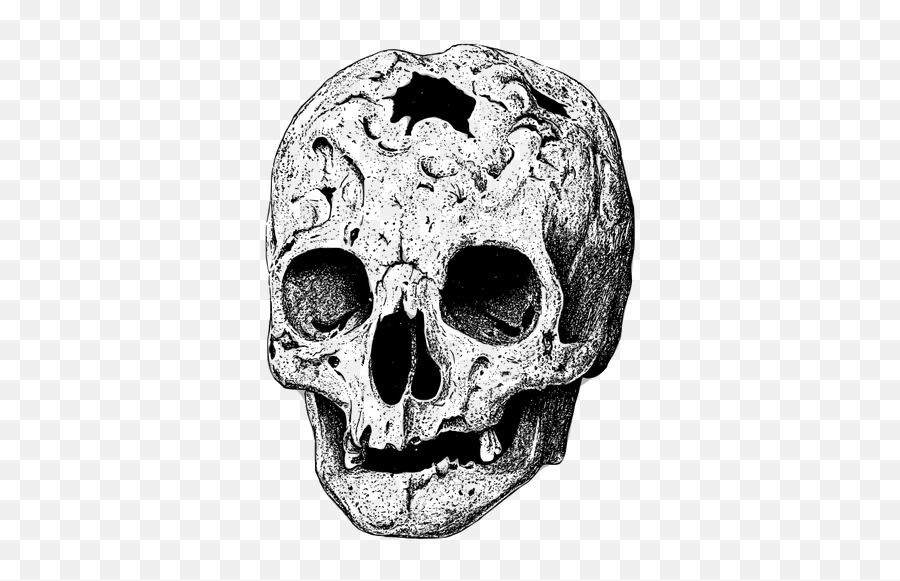 Broken Skull Vector Image - Broken Skull Emoji,Halloween Emojis