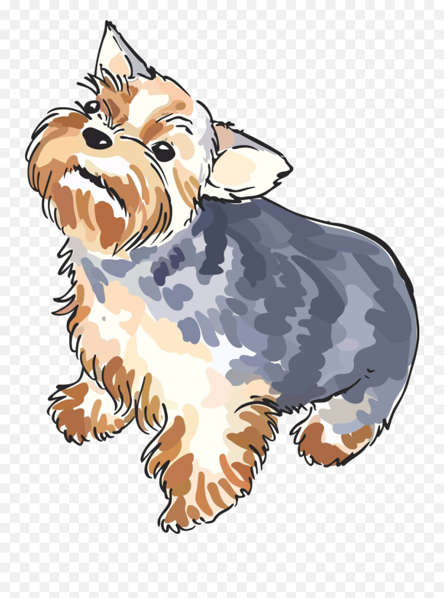 Yorkie Svg Clip Art Picture - Yorkshire Terrier Emoji,Scottie Dog Emoji