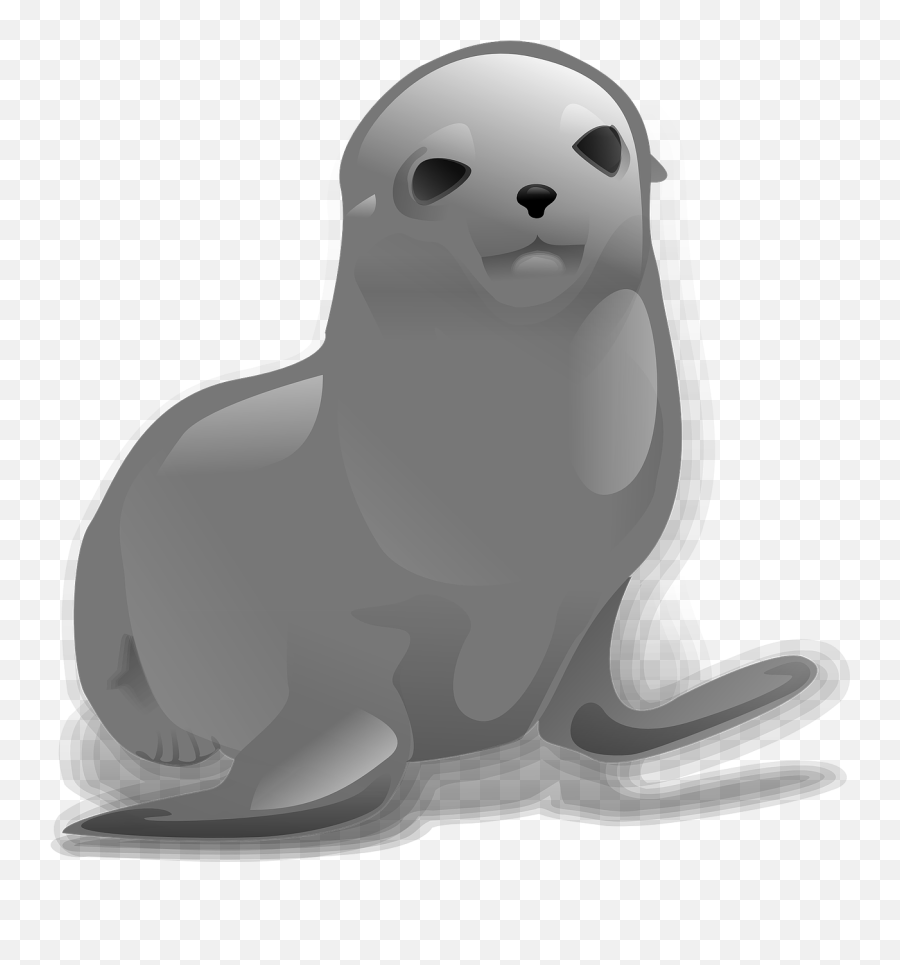 Seal Sealion Sea Lion Sea Mammal Otaria - Seal Clip Art Emoji,Cali Flag Emoji