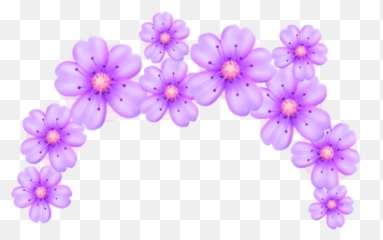 Violet Flower Png Violet Flower Png Transparent Free For - Violet