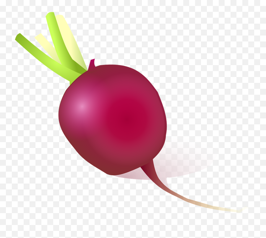 Radish Red Vegetable Plant Food - Cartoon Radish Emoji,Bean Sprout Emoji