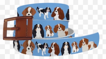 Classic Belts - C4 Emoji