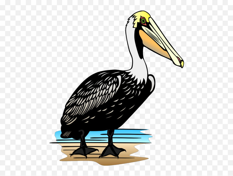 Pelican Png Svg Clip Art For Web - Pelican Clip Art Emoji,Pelican Emoji