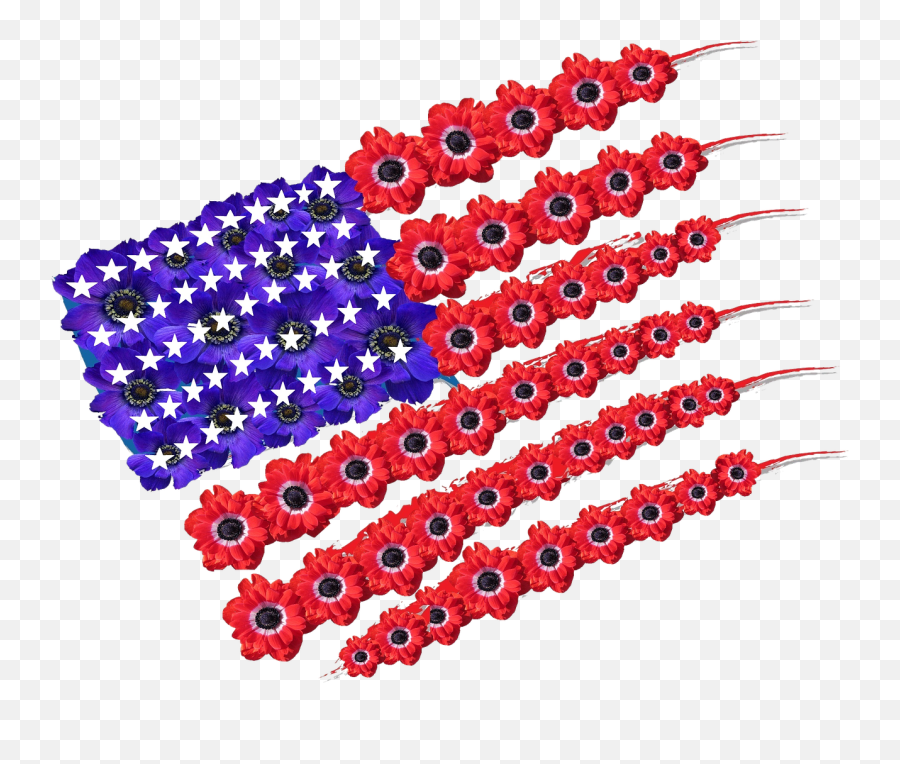 Usa America Flag Americans American - Flower Emoji,Texas Emoji Flag
