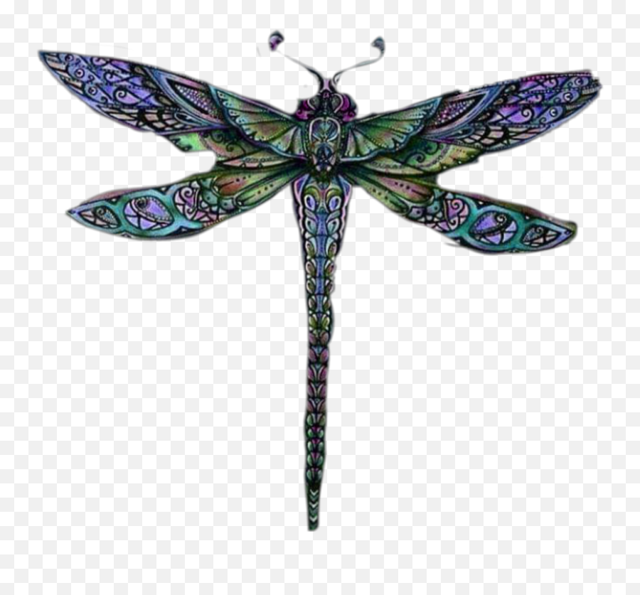 Dragonfly - Sticker By Cherigoodman59 Insects Emoji,Dragonfly Emoji ...