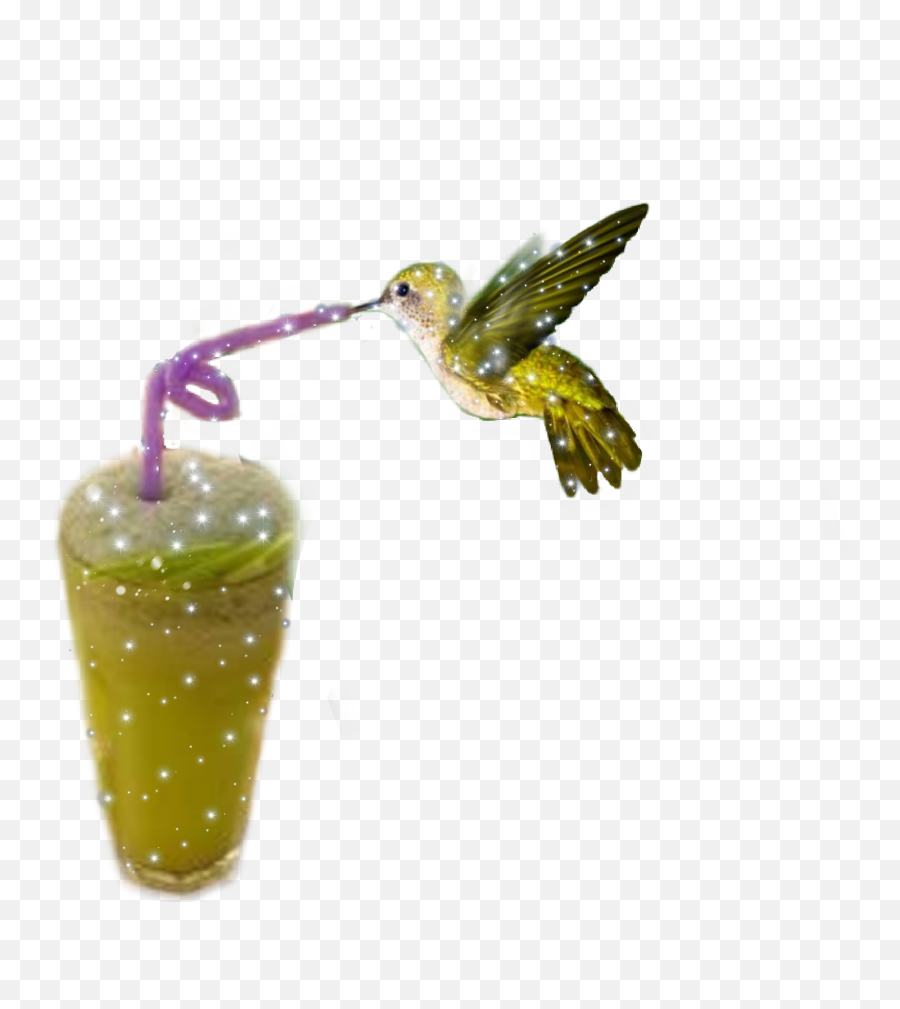 Trending - Kolibri Blumen Tattoo Emoji,Hummingbird Emoticon