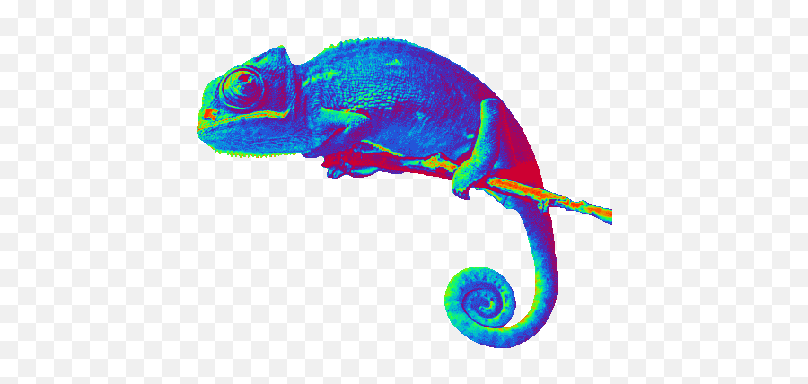 Chameleon - Chameleon Gif No Background Emoji,Chameleon Emoji