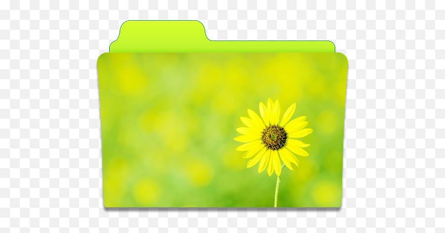 Folder Sunflower Icon - Mac Pretty Folder Icons Emoji,Sunflower Emoji Png