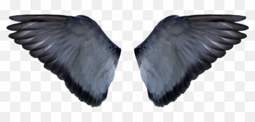 Free Png Photo Frame Photos - Portable Network Graphics Emoji,Chicken Wings Emoji
