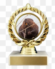 Beaver Logo Trophy On Flat White Marble - Award Emoji