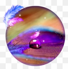 Pink Colorful Feather Live - Circle Emoji,Is There A Feather Emoji