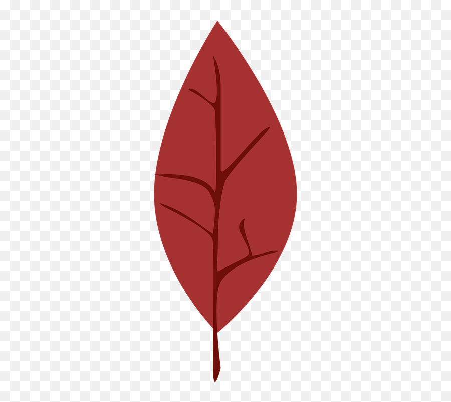 Leaf Leaves - Illustration Emoji,Falling Leaves Emoji
