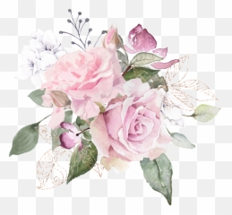 Standing Firm In My Faith U2013 If You Do Not Stand Firm In - Hybrid Tea Rose Emoji,Christian Emojis Free