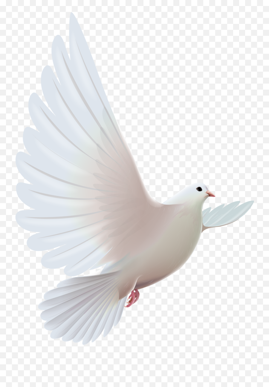 Funeral Transparent Dove Clipart - Transparent White Dove Emoji,Funeral Emoji