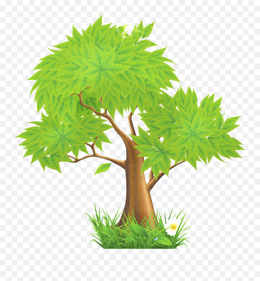 Image Of Tree Clipart 5 Pine Tree - Trees Clip Art Png Emoji,Trees Emoji