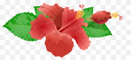 Emoji Png Hibiscus Flower Transparent,Lily Flower Emoji