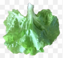 Vegetables Dress Lettuce Freetoedit - Lettuce Emoji,Lettuce Emoji