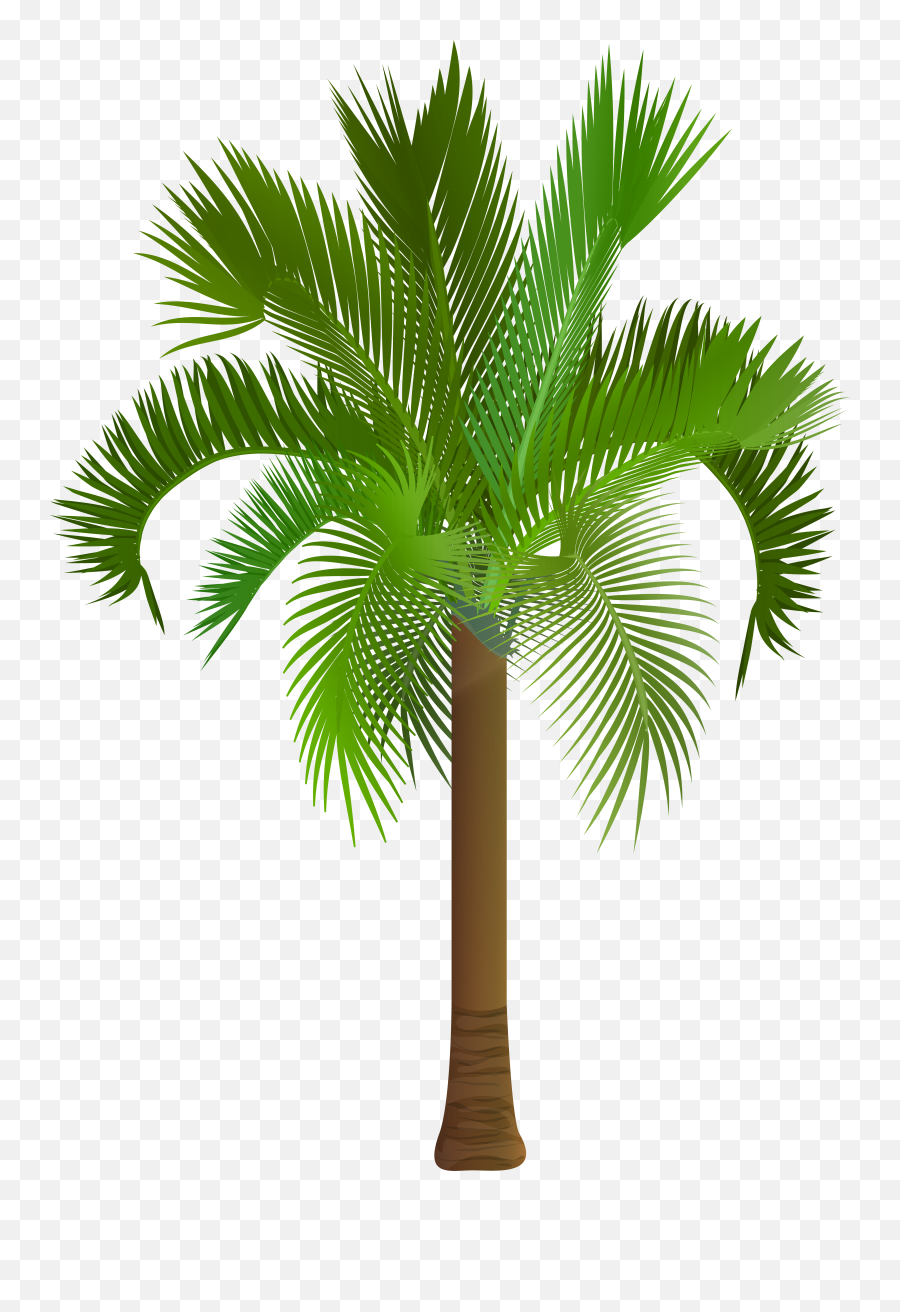 Palm Tree Clip Art Png Image Is Available For Free - Palm Clip Art Date Palm Tree Clipart Emoji,Palm Tree Emoji