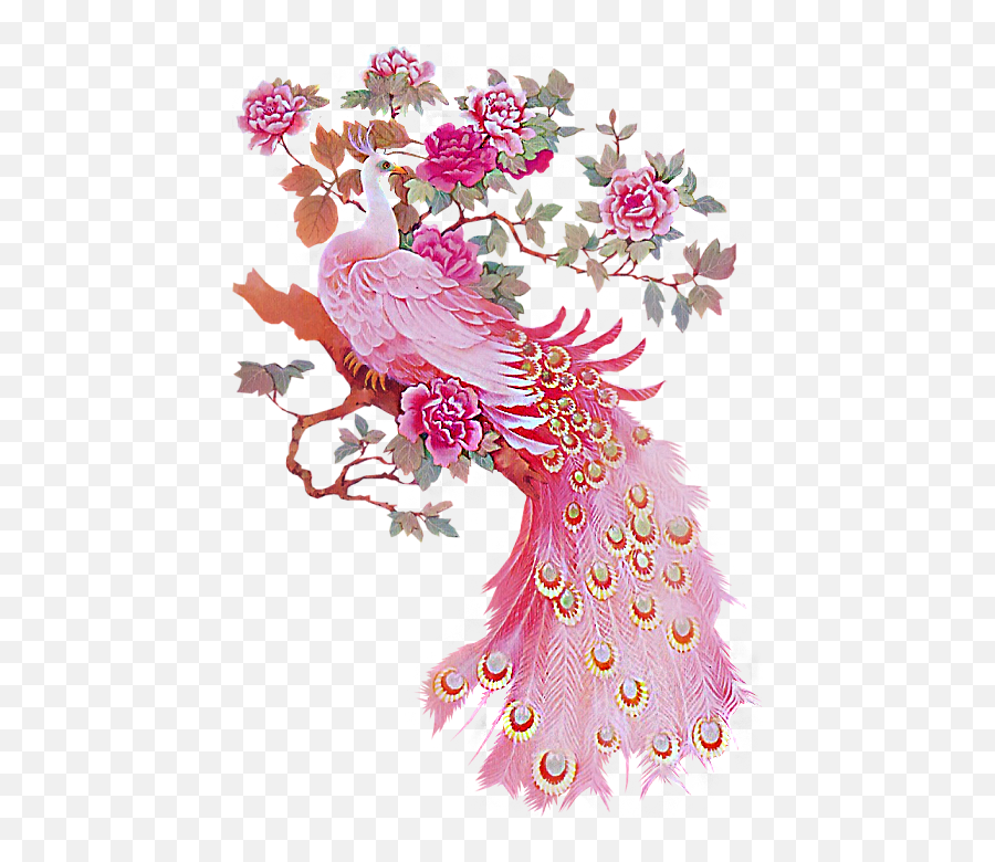 Download Hd Would Love This Picture To Hang In My Bathroom - Pink Peacock Art Emoji,Peacock Emoji