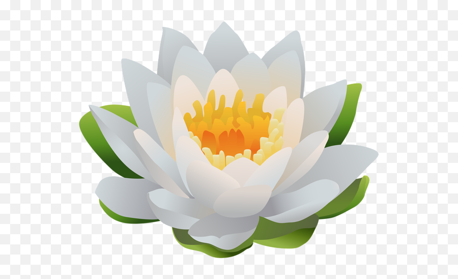 Water Lily Png Clip Art Image - 2d Water Lily Png Emoji,Lotus Flower Emoji