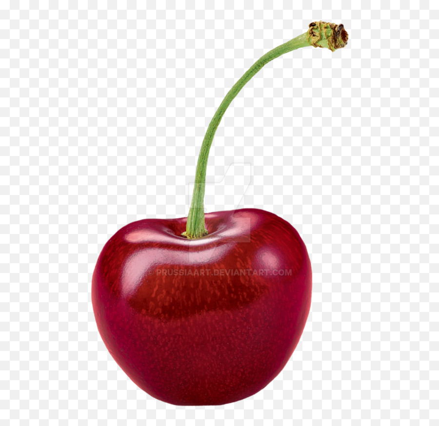 Cherry Png Images Cherry Blossom - Cherry Fruit Transparent Background Emoji,Cherries Emoji