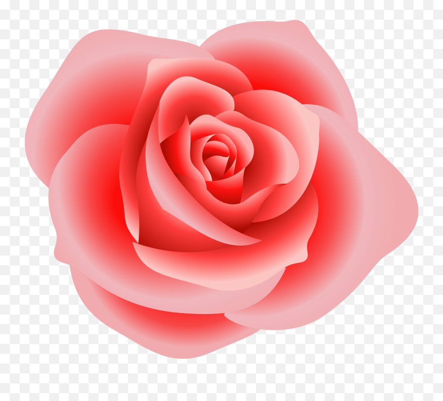 Free Rose Images Download Free Clip - Rose Flowers Clip Art Emoji,Pink Rose Emoji