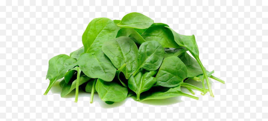 Spinach Png - Spinach Png Emoji,Emoji Level 62