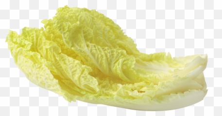 Lettuce And Tomato Salad Png Picture - Salad Leaf Png Emoji,Lettuce Emoji